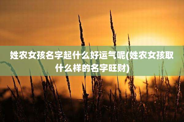 姓农女孩名字起什么好运气呢(姓农女孩取什么样的名字旺财)