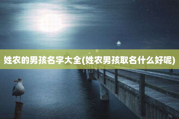 姓农的男孩名字大全(姓农男孩取名什么好呢)