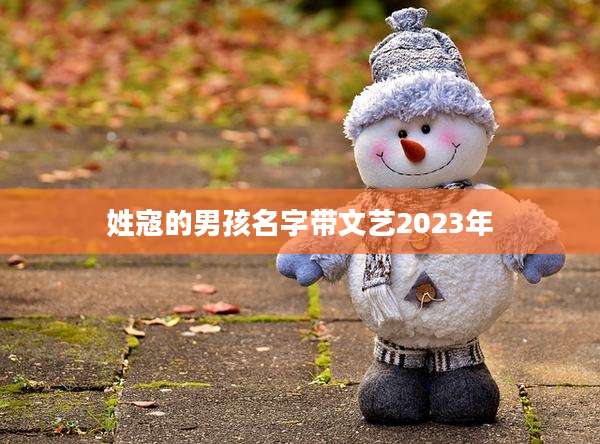 姓寇的男孩名字带文艺2023年