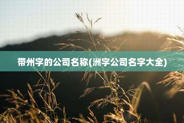 带州字的公司名称(洲字公司名字大全)