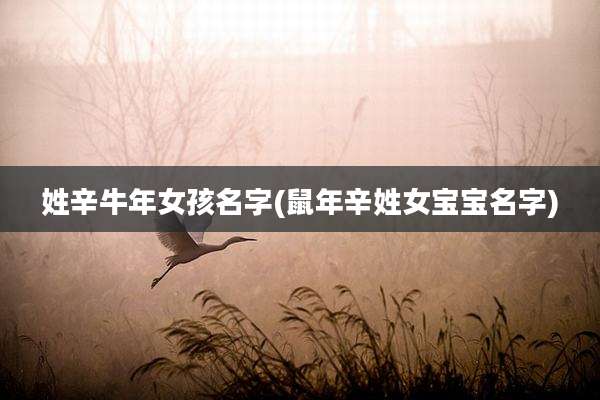姓辛牛年女孩名字(鼠年辛姓女宝宝名字)