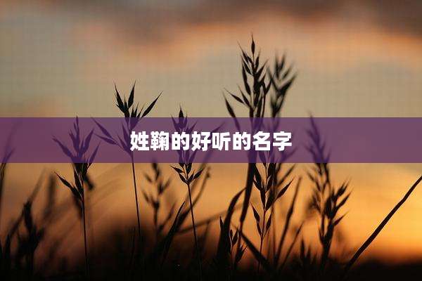 姓鞠的好听的名字