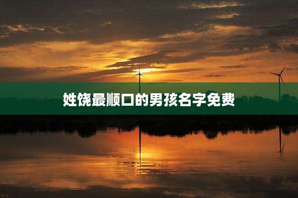 姓饶最顺口的男孩名字免费
