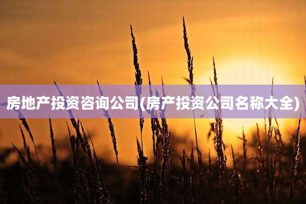 房地产投资咨询公司(房产投资公司名称大全)