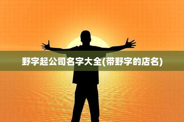 野字起公司名字大全(带野字的店名)