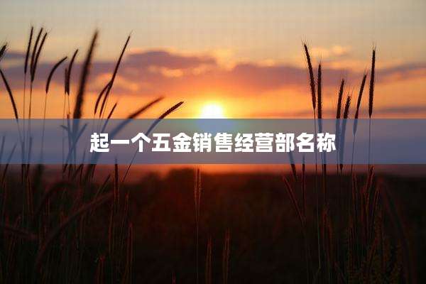 起一个五金销售经营部名称