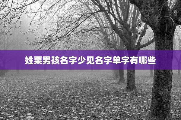 姓粟男孩名字少见名字单字有哪些