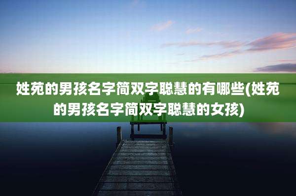 姓苑的男孩名字简双字聪慧的有哪些(姓苑的男孩名字简双字聪慧的女孩)