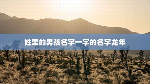 姓栗的男孩名字一字的名字龙年