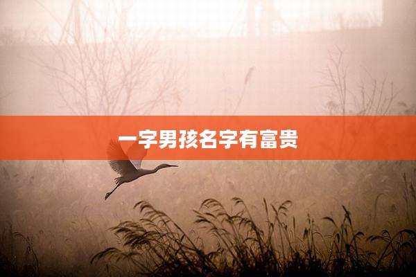 一字男孩名字有富贵