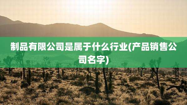 制品有限公司是属于什么行业(产品销售公司名字)