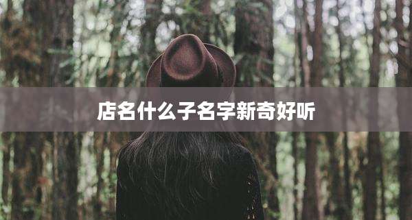 店名什么子名字新奇好听