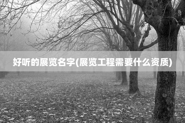 好听的展览名字(展览工程需要什么资质)