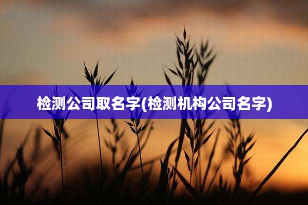 检测公司取名字(检测机构公司名字)