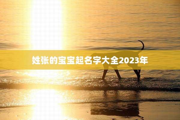 姓张的宝宝起名字大全2023年