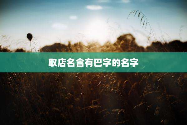 取店名含有巴字的名字