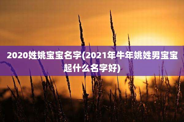 2020姓姚宝宝名字(2021年牛年姚姓男宝宝起什么名字好)