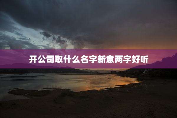 开公司取什么名字新意两字好听