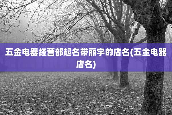 五金电器经营部起名带丽字的店名(五金电器店名)