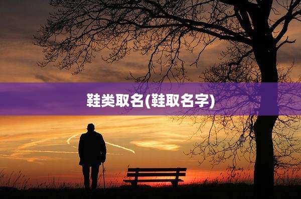 鞋类取名(鞋取名字)