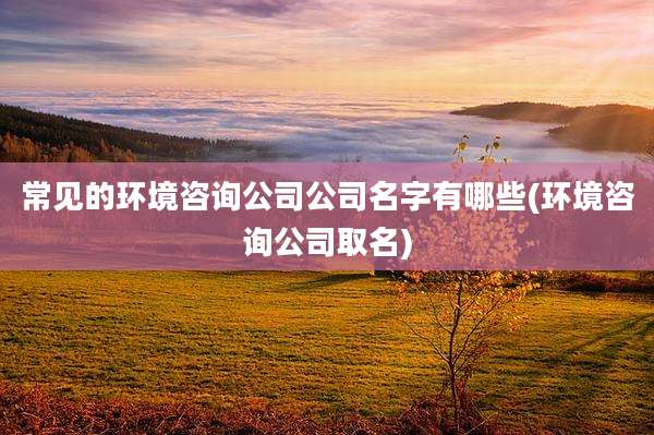 常见的环境咨询公司公司名字有哪些(环境咨询公司取名)