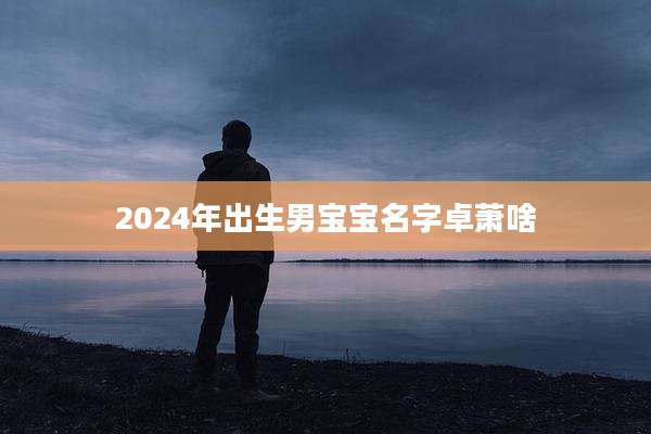 2024年出生男宝宝名字卓萧啥