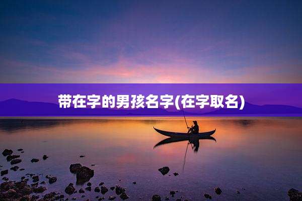 带在字的男孩名字(在字取名)