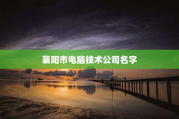 襄阳市电脑技术公司名字