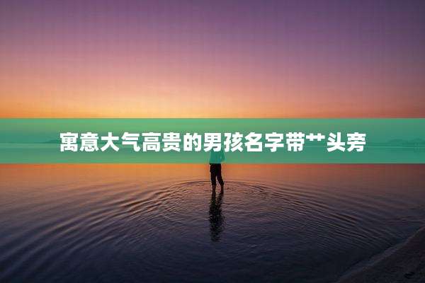 寓意大气高贵的男孩名字带艹头旁