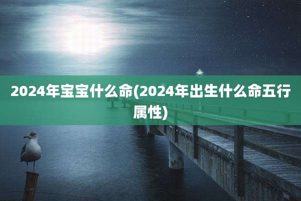 2024年宝宝什么命(2024年出生什么命五行属性)