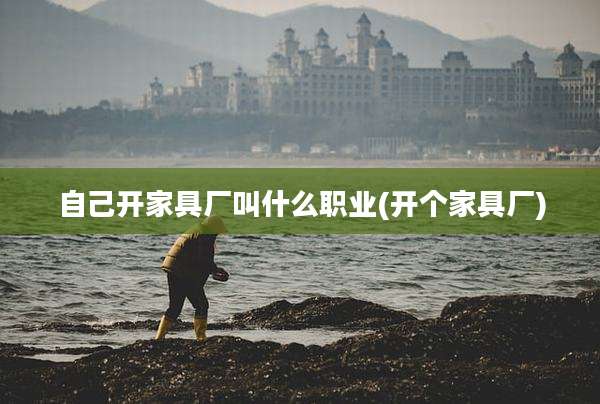 自己开家具厂叫什么职业(开个家具厂)