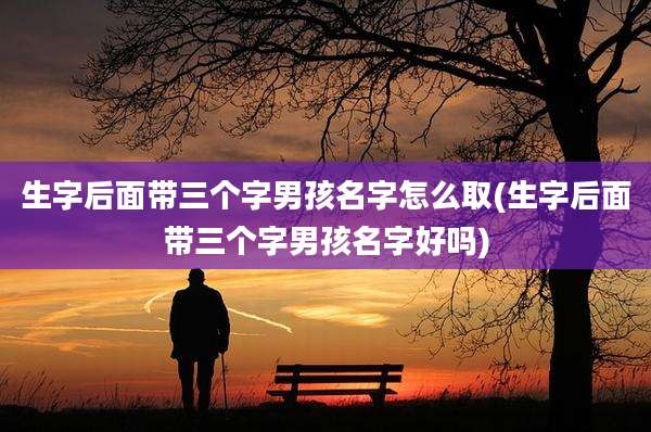 生字后面带三个字男孩名字怎么取(生字后面带三个字男孩名字好吗)