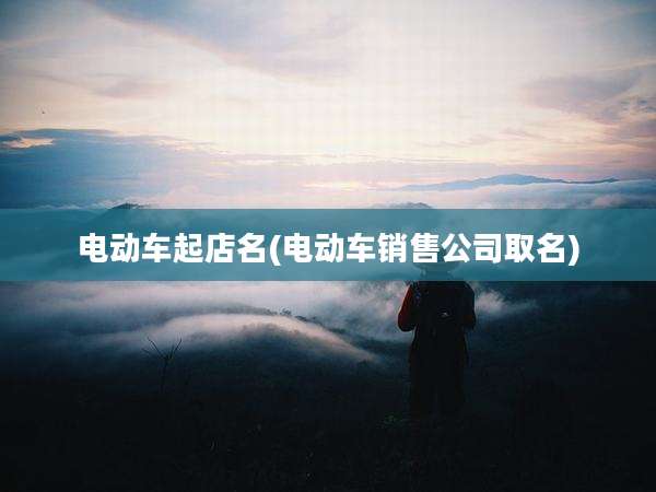 电动车起店名(电动车销售公司取名)