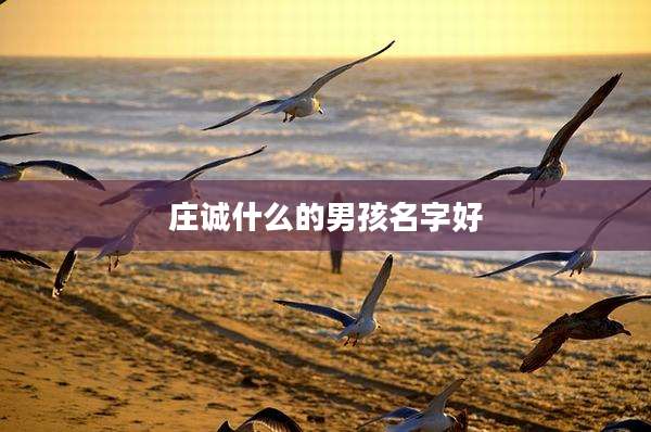庄诚什么的男孩名字好