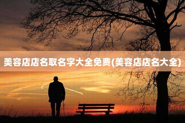 美容店店名取名字大全免费(美容店店名大全)