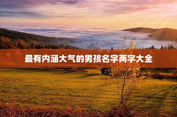 最有内涵大气的男孩名字两字大全