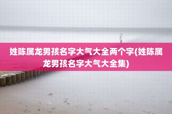 姓陈属龙男孩名字大气大全两个字(姓陈属龙男孩名字大气大全集)