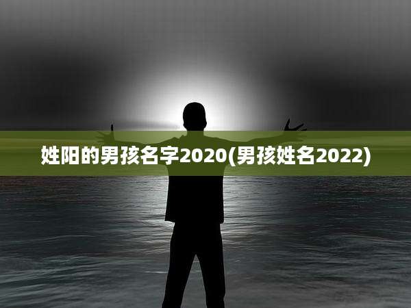 姓阳的男孩名字2020(男孩姓名2022)