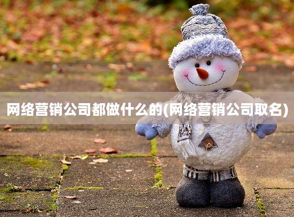 网络营销公司都做什么的(网络营销公司取名)