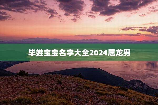 毕姓宝宝名字大全2024属龙男