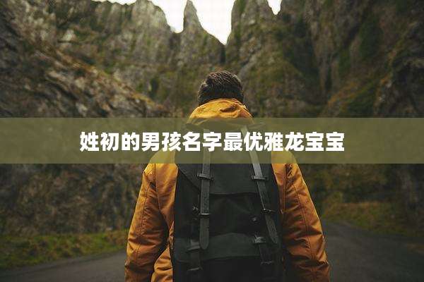 姓初的男孩名字最优雅龙宝宝