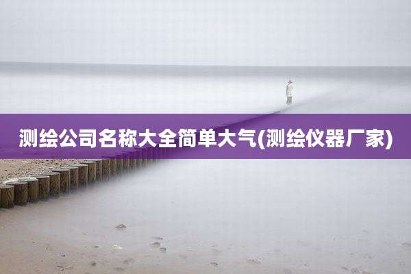 测绘公司名称大全简单大气(测绘仪器厂家)