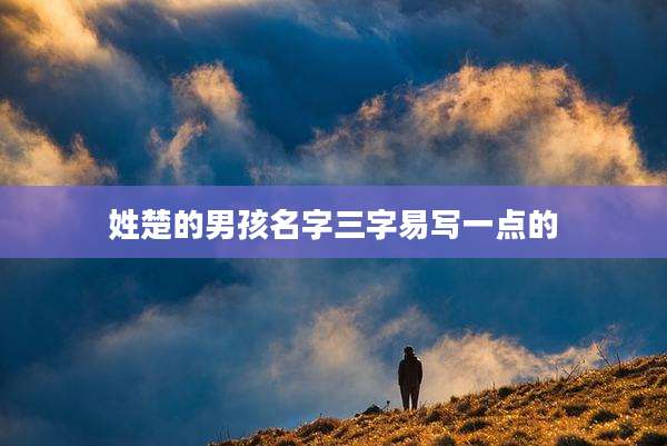 姓楚的男孩名字三字易写一点的