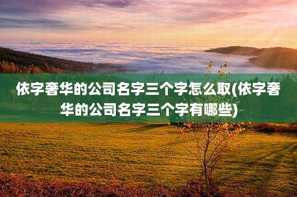 依字奢华的公司名字三个字怎么取(依字奢华的公司名字三个字有哪些)