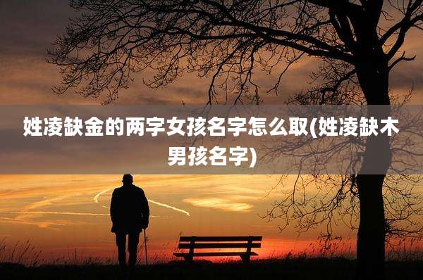 姓凌缺金的两字女孩名字怎么取(姓凌缺木男孩名字)