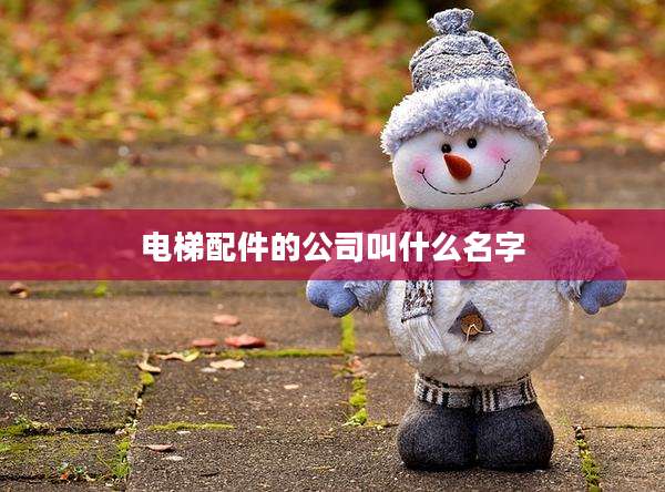 电梯配件的公司叫什么名字