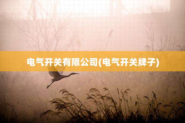 电气开关有限公司(电气开关牌子)