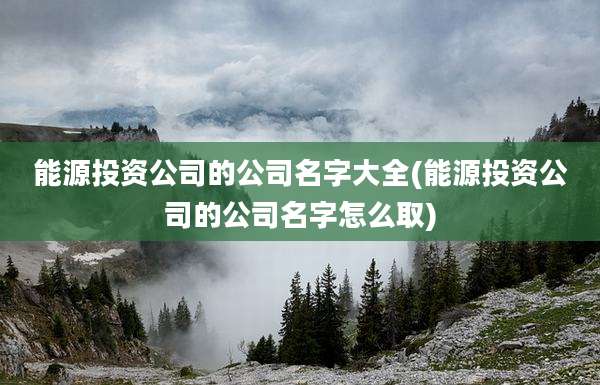 能源投资公司的公司名字大全(能源投资公司的公司名字怎么取)