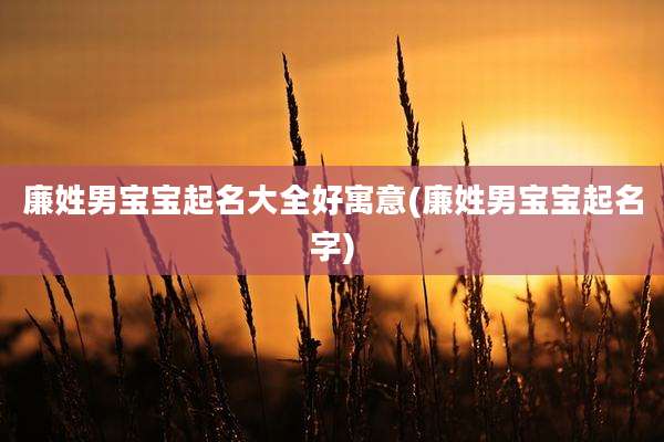 廉姓男宝宝起名大全好寓意(廉姓男宝宝起名字)