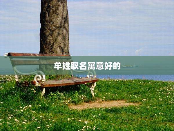 牟姓取名寓意好的